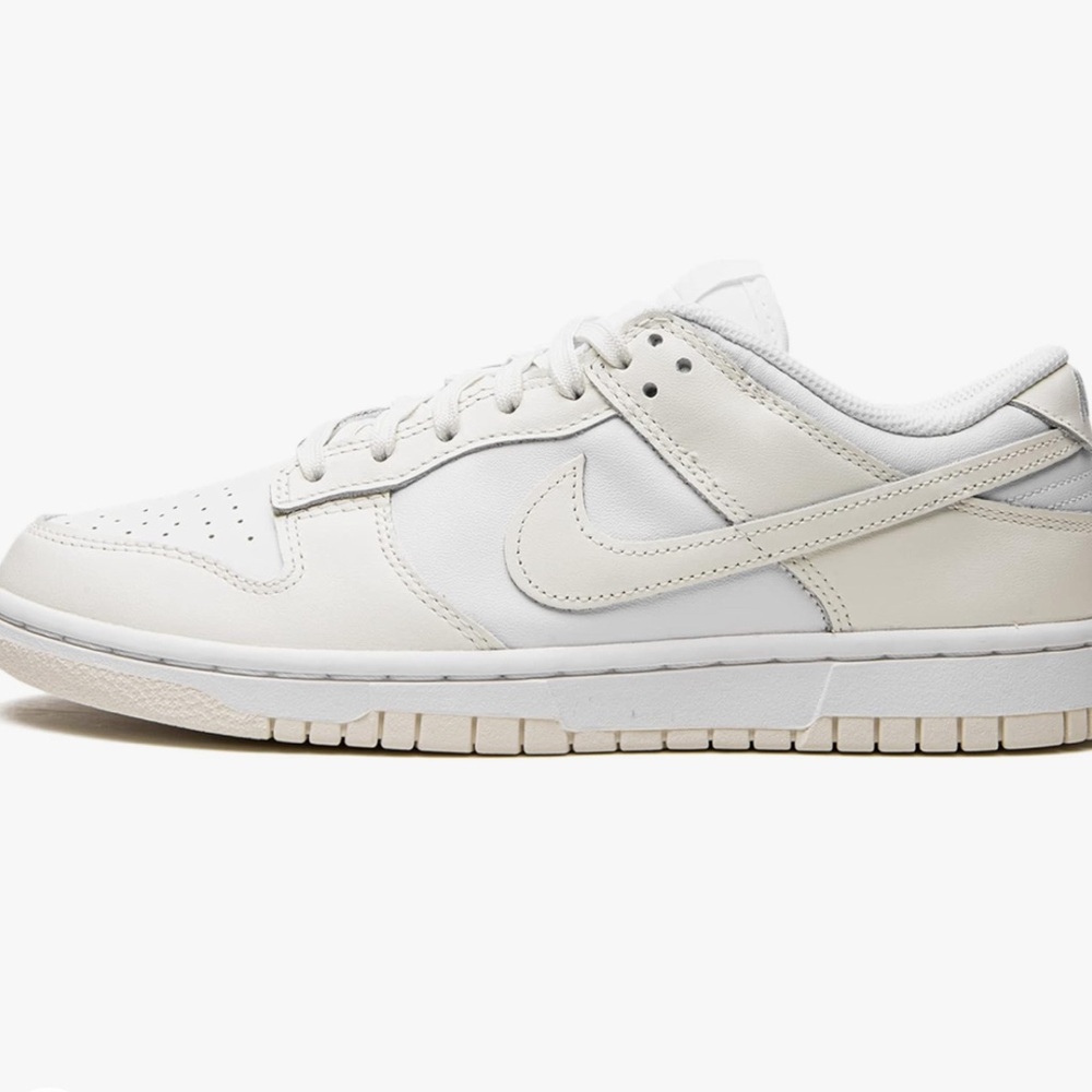 Nike dunks size 7 1/2